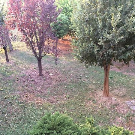 Bed & Breakfast Da Eliana Molinella Esterno foto