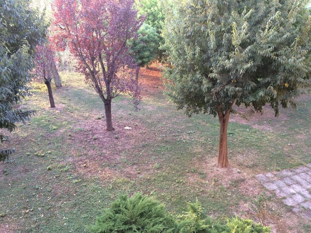 Bed & Breakfast Da Eliana Molinella Esterno foto