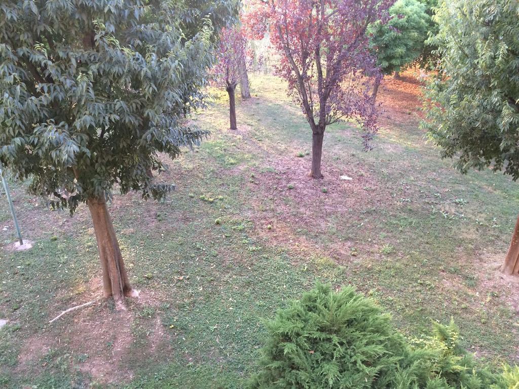 Bed & Breakfast Da Eliana Molinella Esterno foto